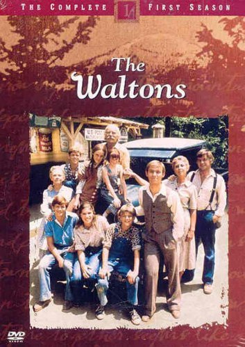 Tv Shows to Watch If You Like the Waltons (1972 - 1981)
