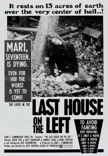 The Last House on the Left (1972) - Movies You Would Like to Watch If You Like the Headless Eyes (1971)